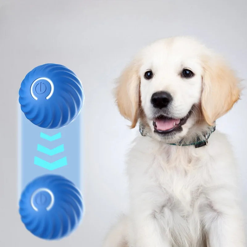 GoDogGo™