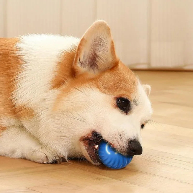 GoDogGo™