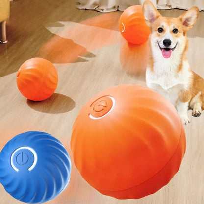 GoDogGo™