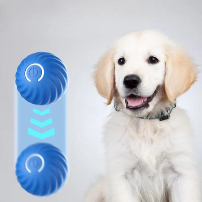 GoDogGo™